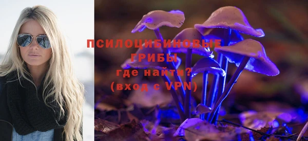 бутират Дмитриев