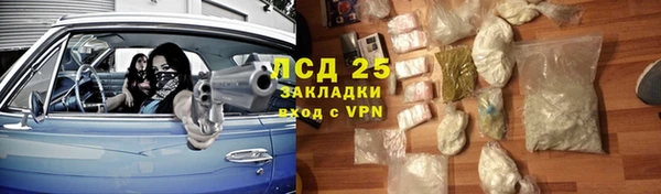 крисы Дмитров