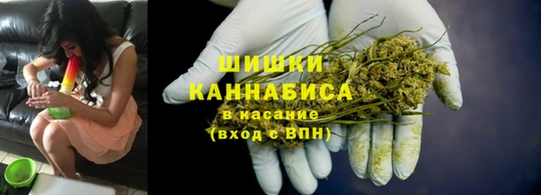 крисы Дмитров