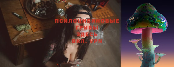 винт Дмитровск