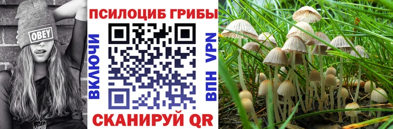 Псилоцибиновые грибы GOLDEN TEACHER Купить где Ленинск-Кузнецкий